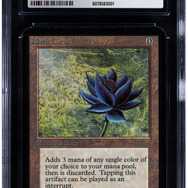 『ポケカ』コレクション最高峰の“ポケモン イラストレーター”などが展示―「東京コミコン2025」にヘリテージ・オークションズが出展へ