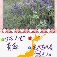 おてがる写真メモ