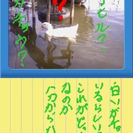 おてがる写真メモ