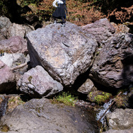 之弋 (ﾉｲｸﾞﾙﾐ)（X：@no_igurumi）