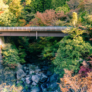 四季美谷温泉の周囲