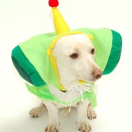 犬もハロウィンにはオシャレを ― 海外ゲームファンの作ったコスプレ集