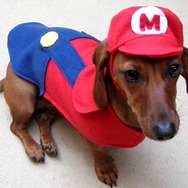 犬もハロウィンにはオシャレを ― 海外ゲームファンの作ったコスプレ集