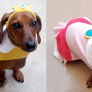犬もハロウィンにはオシャレを ― 海外ゲームファンの作ったコスプレ集