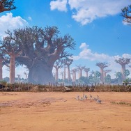 “闘神の子”ミアリズ参戦！『鉄拳8』第8弾新キャラ＆新ステージ「BAOBAB HORIZON」の一般アクセスを開始