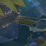 『モンハンストーリーズ3』にも「アルシュベルド」参戦！絶滅危惧種のタマゴを保護し、生態系を取り戻す新要素が明らかに