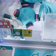 「そんなに嫌ですか？」 クレーンゲーム中の“拒絶ミクさん”に爆笑　絶妙な体勢で出口を拒む姿が話題に