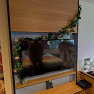 『FGO』×サンシャインシティプリンスホテルコラボでリッチな体験を！まさに“10年の軌跡を五感で楽しむ”空間になっていた