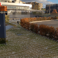 ニンテンドーミュージアムがライトアップ！アートギャラリーや『マリオ』40周年記念イベントなど期間限定施策を見てきました【レポート】