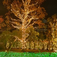 ニンテンドーミュージアムがライトアップ！アートギャラリーや『マリオ』40周年記念イベントなど期間限定施策を見てきました【レポート】