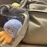 「ぬい活」ってなに！？気になっているけどまだ未体験のあなたに、2ステップで始められるライトな推し活のススメ【年末年始特集】