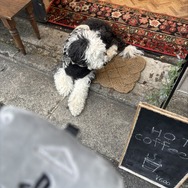 「ぬい活」ってなに！？気になっているけどまだ未体験のあなたに、2ステップで始められるライトな推し活のススメ【年末年始特集】