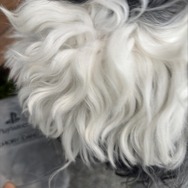 「ぬい活」ってなに！？気になっているけどまだ未体験のあなたに、2ステップで始められるライトな推し活のススメ【年末年始特集】