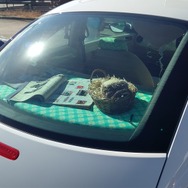 『アイマス』合同ライブ「MOIW2025」に“アイ”が集まる！「のぼり」や「痛車」など会場周辺施策をレポート