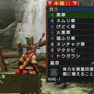 モンスターハンターポータブル 3rd