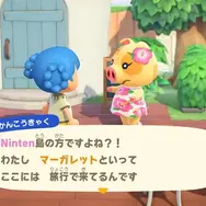 『あつ森』新施設「リゾートホテル」って何ができるの？「客室コーディネート」や「名物DIY」など注目ポイントをご紹介