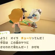 『あつ森』Ver.3.0で『ゼルダの伝説』『スプラトゥーン』コラボ要素が追加！amiiboで「チューリ」「ミネル」など特別などうぶつが来島