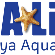 『あつ森』×「名古屋シーライフ水族館」コラボが期間限定開催！フータによる解説や限定グッズ販売、「小さなかいがらのリースづくり」ワークショップなど