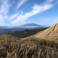 日本舞台の『Forza Horizon 6』は“なんちゃって日本”じゃない！都市から地方まで、実在感あふれる風景話題に