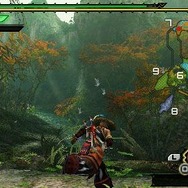 モンスターハンターポータブル 3rd