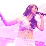 DVD「テイルズ オブ フェスティバル2010」、4枚組で12月17日に発売