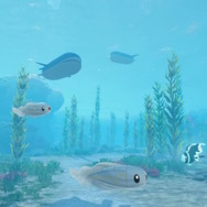 シリーズ最新作『ポケモン ウインド・ウェーブ』発表！新たな御三家「ハブロウ」「ポムケン」「ミオリー」も公開