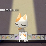 (c)2006 Sony Computer Entertainment Inc.