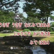 カラオケJOYSOUND Wii SUPER DX ひとりでみんなで歌い放題!