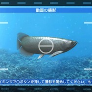 ブルーオアシス～魚の癒し空間～
