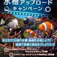 ブルーオアシス～魚の癒し空間～