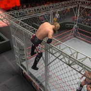 WWE SmackDown vs. Raw 2011
