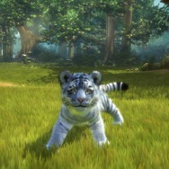 Kinect アニマルズ