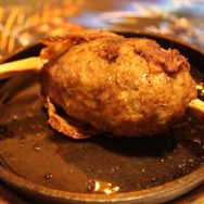 シダックスの「狩りOK! モンスターハンターポータブル3rd 集会所」を早速体験