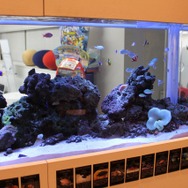 ポケモンはここで作られる！ゲームフリーク訪問記(前編)