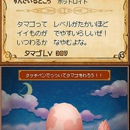 二ノ国 漆黒の魔導士
