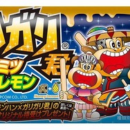 狩り狩り君?『モンスターハンターポータブル 3rd』とコラボした「ガリガリ君」が2011年1月11日に発売