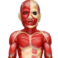 飛び出せ!科学くん 地球大探検!謎の珍怪生物に挑め!