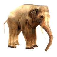 飛び出せ!科学くん 地球大探検!謎の珍怪生物に挑め!