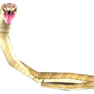 飛び出せ!科学くん 地球大探検!謎の珍怪生物に挑め!