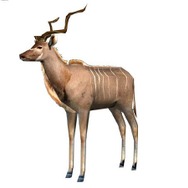 飛び出せ!科学くん 地球大探検!謎の珍怪生物に挑め!