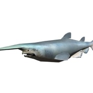 飛び出せ!科学くん 地球大探検!謎の珍怪生物に挑め!