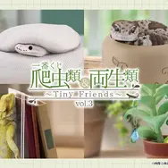 一番くじ「爬虫類＆両生類～Tiny Friends～vol.3」8月29日発売！ “変な寝相”のブックスタンドや「ボールパイソンのティッシュケース」などユニークなアイテムがラインナップ