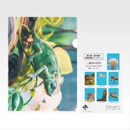 一番くじ「爬虫類＆両生類～Tiny Friends～vol.3」8月29日発売！ “変な寝相”のブックスタンドや「ボールパイソンのティッシュケース」などユニークなアイテムがラインナップ