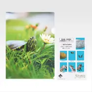 一番くじ「爬虫類＆両生類～Tiny Friends～vol.3」8月29日発売！ “変な寝相”のブックスタンドや「ボールパイソンのティッシュケース」などユニークなアイテムがラインナップ