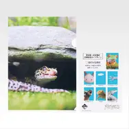 一番くじ「爬虫類＆両生類～Tiny Friends～vol.3」8月29日発売！ “変な寝相”のブックスタンドや「ボールパイソンのティッシュケース」などユニークなアイテムがラインナップ