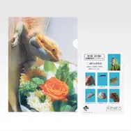 一番くじ「爬虫類＆両生類～Tiny Friends～vol.3」8月29日発売！ “変な寝相”のブックスタンドや「ボールパイソンのティッシュケース」などユニークなアイテムがラインナップ