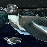 動物園に活気を取り戻す『アニマルリゾート（仮）』がニンテンドー3DS体験会で