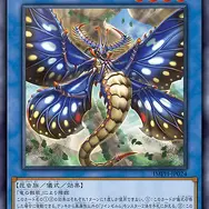 『遊戯王OCG』新テーマ「リインゼルム」のカード10枚が一挙公開！竜を掛け合わせた昆虫族儀式モンスター
