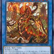 『遊戯王OCG』新テーマ「リインゼルム」のカード10枚が一挙公開！竜を掛け合わせた昆虫族儀式モンスター