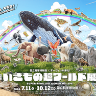 「けものフレンズ」2019年以来のコラボ！NHK「ダーウィンが来た！」とのオリジナルグッズが発売決定ーフレンズ化した“ヒゲじい”がアクキーやステッカーに